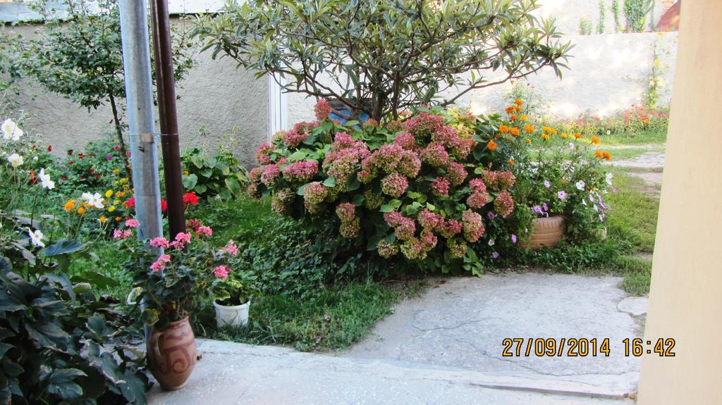 Tinikos Guest House Tel Avi Exterior foto