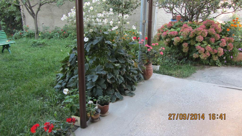 Tinikos Guest House Tel Avi Exterior foto